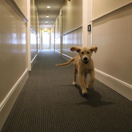 ホテル Pilgrim House プロビンスタウン エクステリア 写真